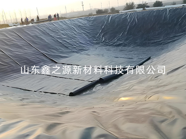 選擇防滲土工膜進行小龍蝦養殖有哪些要點技巧？